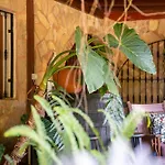 Apartment Casa Lazaro,