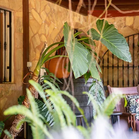Appartement Casa Lazaro,
