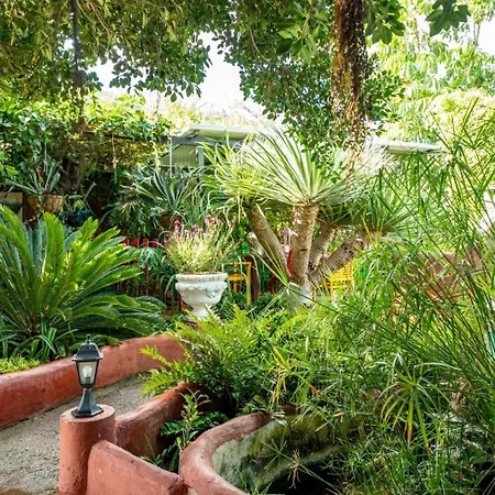 Casa Lazaro, Apartman