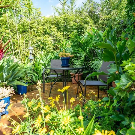 Casa Lazaro, Apartman