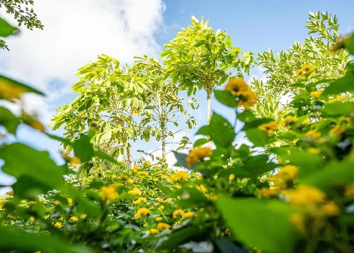 公寓 Casa Lazaro, *