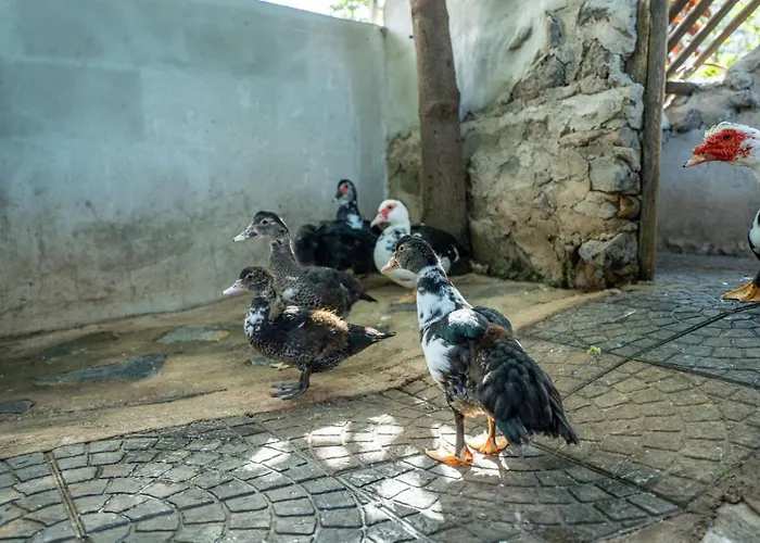 דירה Casa Lazaro, Tegueste