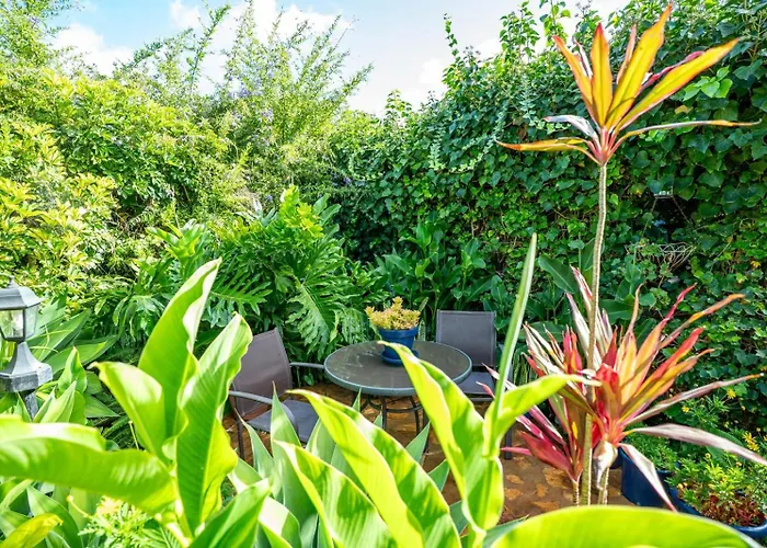 Casa Lazaro, * 特格斯特