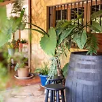 Casa Lazaro, * 特格斯特