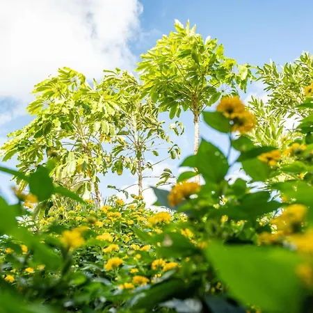 Lejlighed Casa Lazaro, *