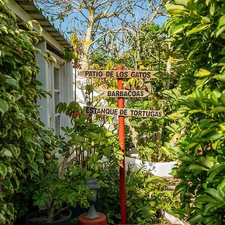 Lejlighed Casa Lazaro,