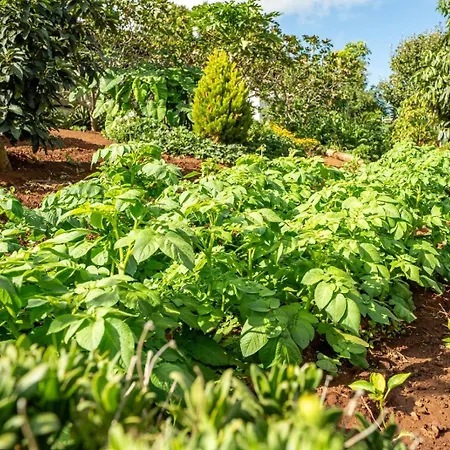 Lejlighed Casa Lazaro,