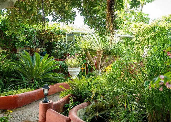 Casa Lazaro, Апартаменты