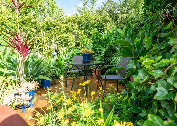 Casa Lazaro, Апартаменты