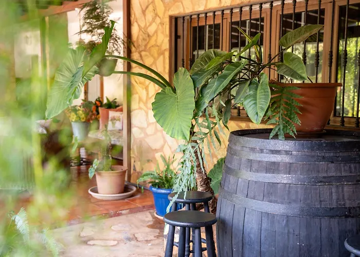 Casa Lazaro, * Tegueste